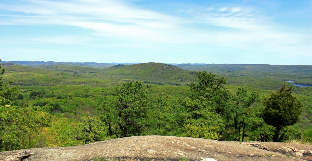 View from Wyanokie High Point in Norvin Green State Park - Photo credit: Nicholas Rinaldi