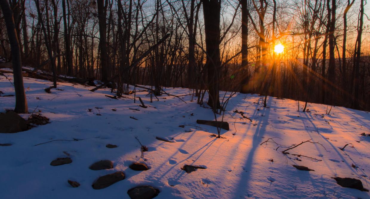 Sunrise on Schunnemunk Mountain State Park. Photo by Steve Aaron.