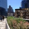 High Line Elevated Park in NYC - Photo - Frank Fernandez