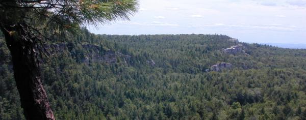 View at Minnewaska State Park Preserve. Photo by Georgette Weir.